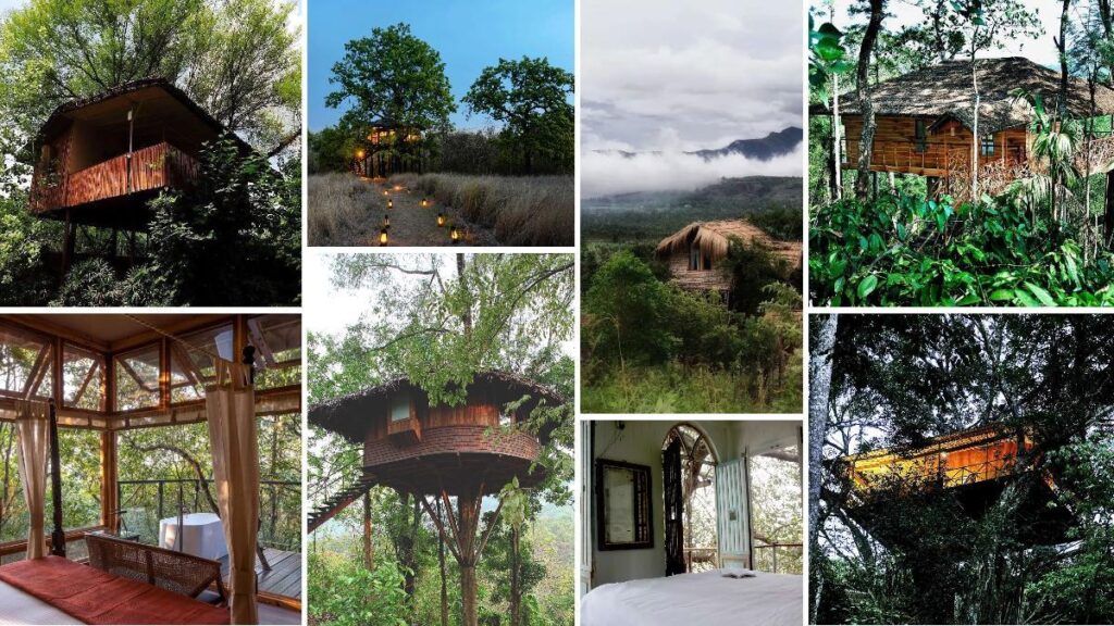 Treehouse Resorts in India