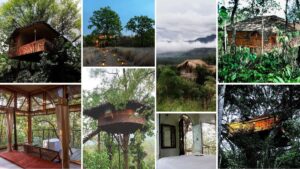 Treehouse Resorts in India