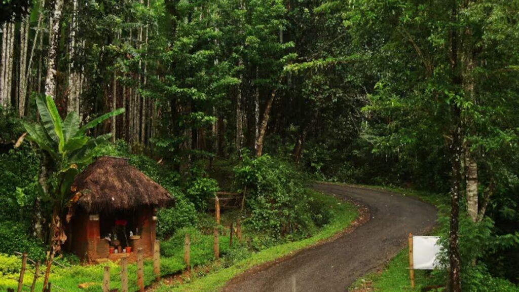 Agumbe, Karnataka