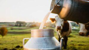 Milk Adulteration Test