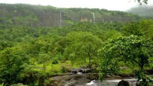 Bhimashanakar and Sinhagad Fort Closed