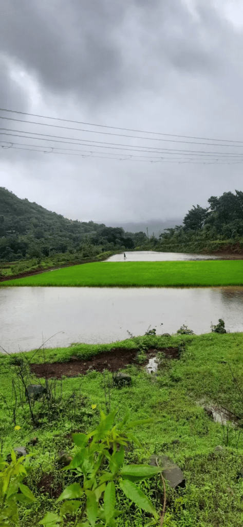 Tamhini Ghat