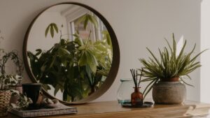 Houseplantsa as air purifiers