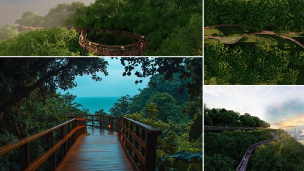 Mumbai's first elevated forest walkway