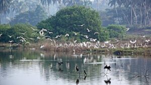 Ramsar Wetland Accredited Cities List