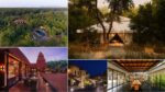 Luxury Meets the Wild: Explore the top, most luxurious yet adventurous safari lodges in India