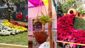 Pune Fruit Flower and Vegetable Competition 2025