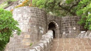 Bee attack at Shivneri Fort