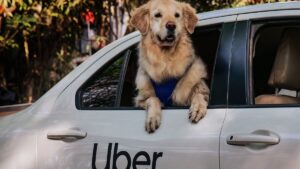 Uber Expands Uber Pet